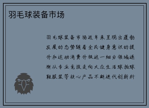 羽毛球装备市场